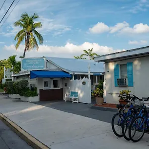 Seashell And International Cayo Hueso
